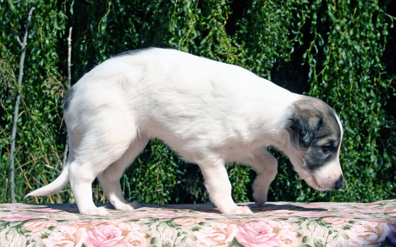 Surf Spots - Girl 2 Cute 2